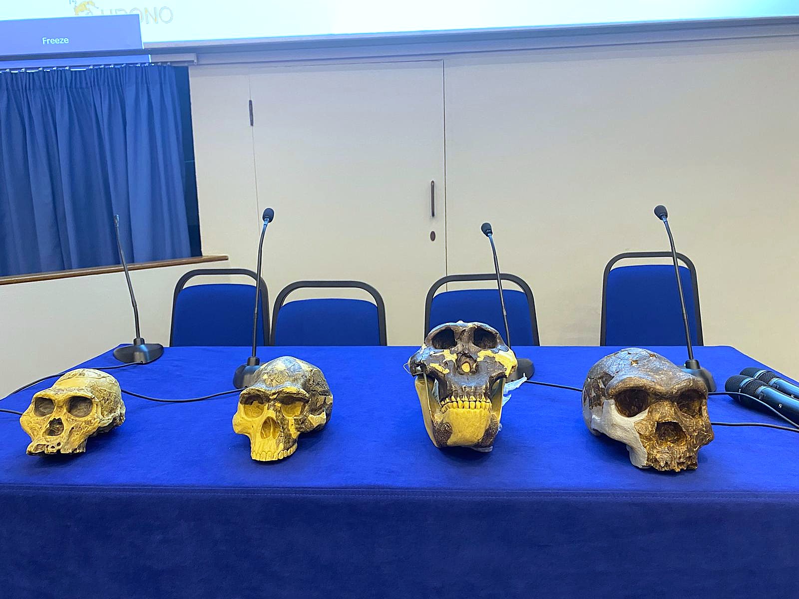 Skulls on display at PACS2023